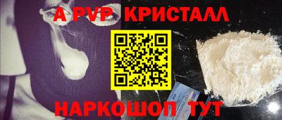 шишки Донской