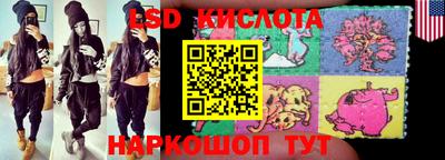 шишки Донской