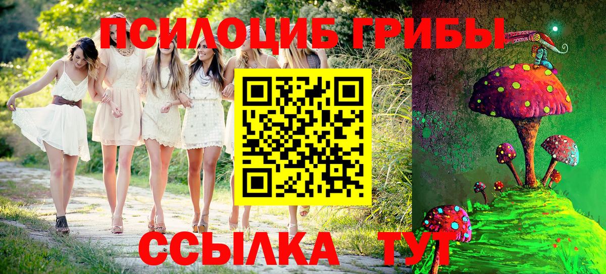 Галлюциногенные грибы мицелий Назарово