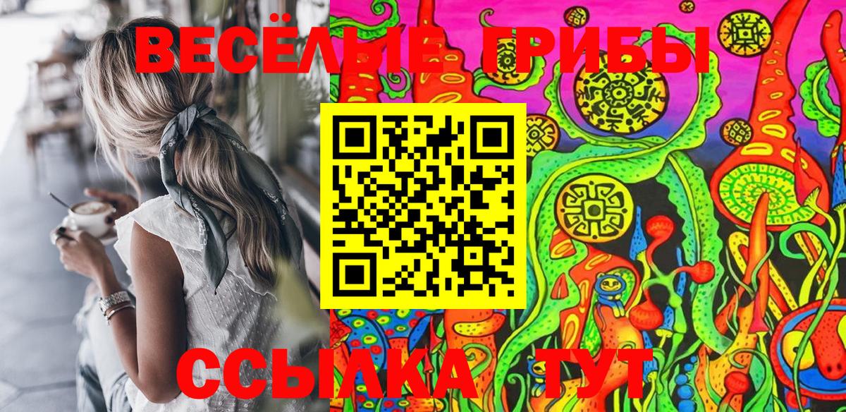 где купить наркоту  Вход с VPN  Галлюциногенные грибы GOLDEN TEACHER  Назарово  Псилоцибиновые грибы Cubensis 